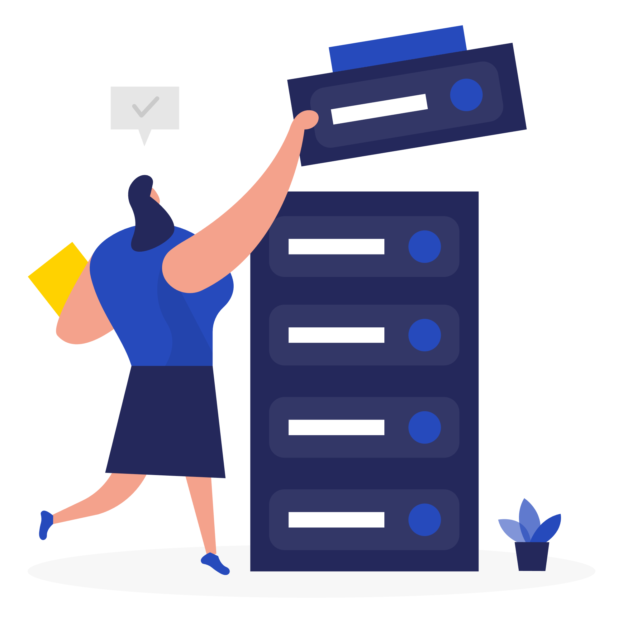 Server Setup & Support